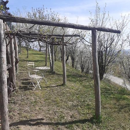Casa Nebieu in edificio indipendente nel centro di Monforte Monforte dʼAlba Esterno foto